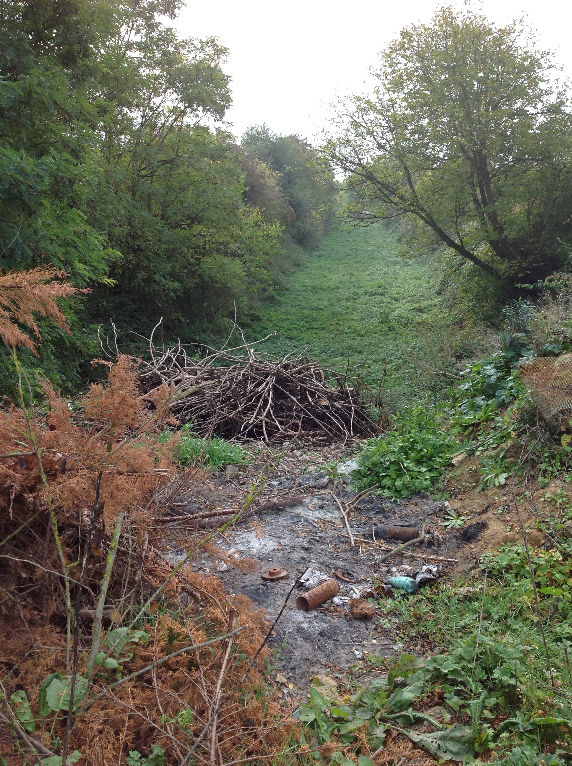 File 29-10-2018, 17 13 29